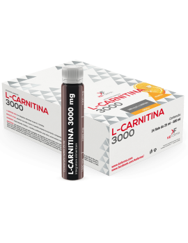 L-CARNITINA KEFORMA FLAC 25ML